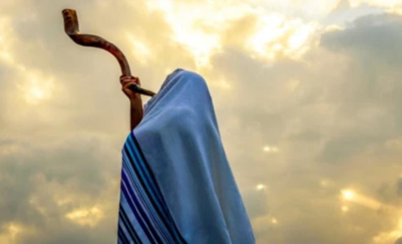 d181cd7a-f692-4d4b-a3d8-2bf1cf5b9215